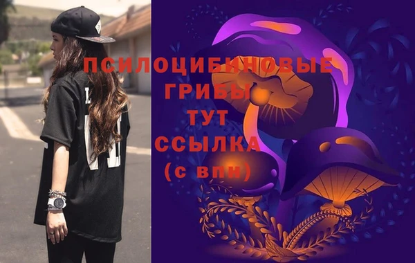 ешки Алексеевка