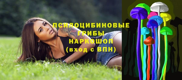 спайс Алзамай