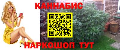 марки lsd Славгород