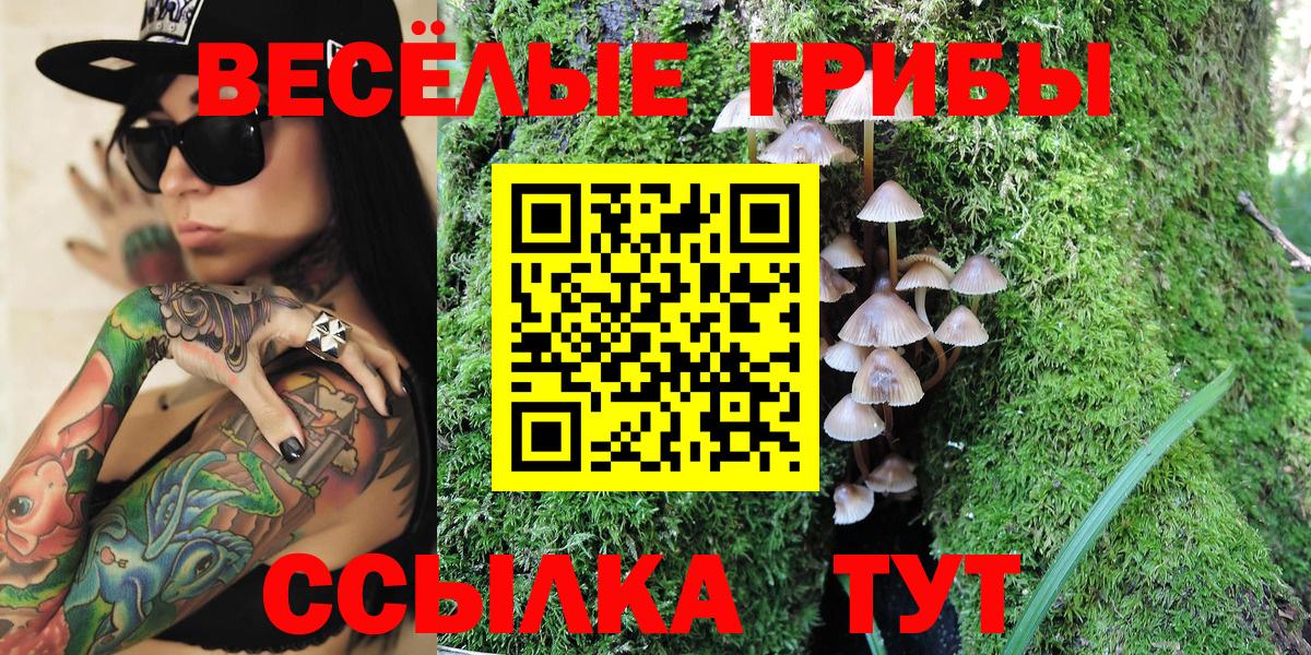 A-PVP СК кристаллы  Вход с VPN  Бошки Шишки  Магазин наркотиков  ГАШ  Краснотурьинск  Меф МЯУ МЯУ кристаллы 