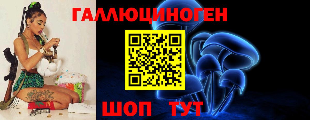 Краснотурьинск  Псилоцибиновые грибы Psilocybine cubensis  Вход с VPN 